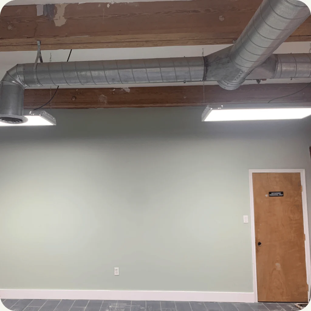 Zephyr commercial interior with painted walls and an exposed timber ceiling